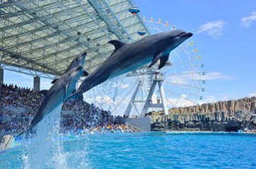  Port of Nagoya Public Aquarium